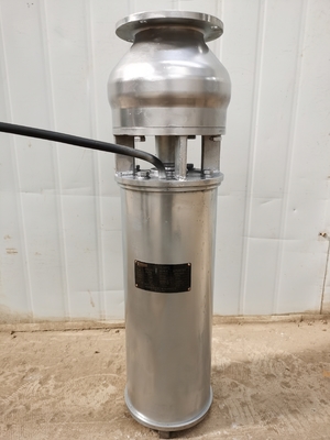 80m3/H Submersible Sewage Fountain Pump Special Material Stainless Steel