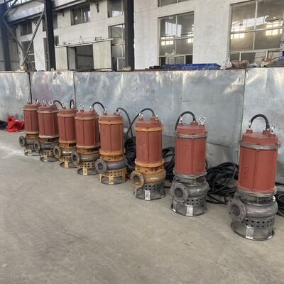 SS304 Submersible Slurry Pump Heavy Duty Slurry Submersible Pump Designed for Continuous Operation in Harsh Environments