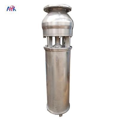 25m3/H 25m Stainless Steel 316 Fountain Submersible Pump Lake Pond Music Landscape