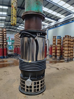 WLT Series Stainless Steel Flow Drainage Fountain Pumps Submersible Wear Resistance