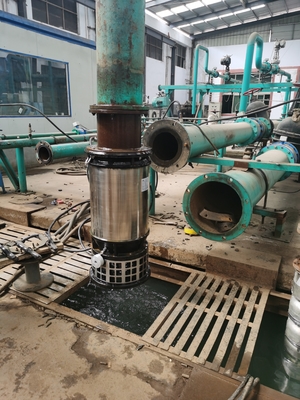 WLT Series Stainless Steel Flow Drainage Fountain Pumps Submersible Wear Resistance