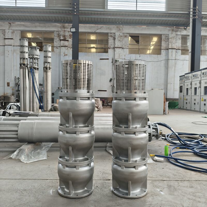 6 इंच डुप्लेक्स स्टेनलेस स्टील 2205 डीप वेल सबमर्सिबल पंप 15 m3/h प्रवाह और 180m सिर के साथ