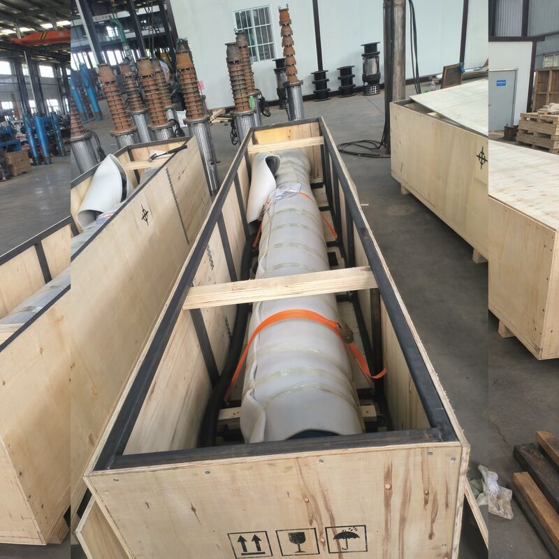 स्टेनलेस स्टील के इम्पेलरों के साथ बाक्साइट खदान निर्जलीकरण के लिए 300KW उच्च वोल्टेज पनडुब्बी पानी पंप