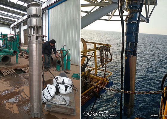 समुद्री जल गहरे कुएं पनडुब्बी पंप 75kw 100hp SS316L सामग्री 60m सिर