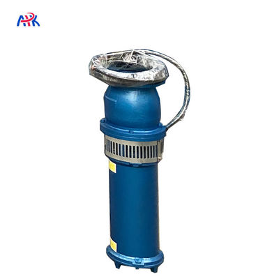 220m3/H 5m क्षैतिज सिंचाई पानी डुबकी पंप