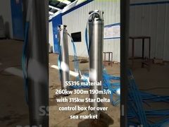 ऊर्ध्वाधर बहुस्तरीय 12 इंच 400v स्टेनलेस स्टील 304 पेयजल डुबकी पंप